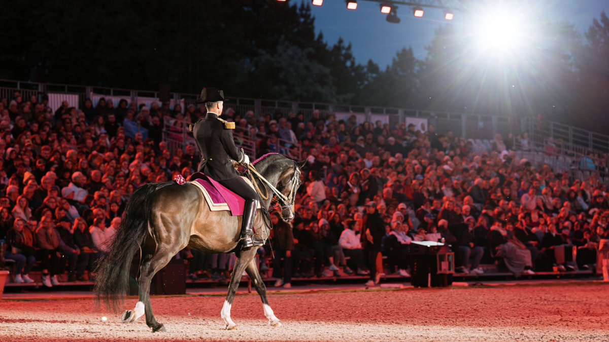 CHAUVET Professional beim Le Cadre noir