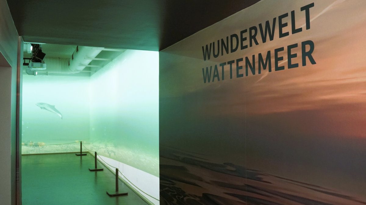 DMPW realisiert 360-Grad-Projektion in Norddeich